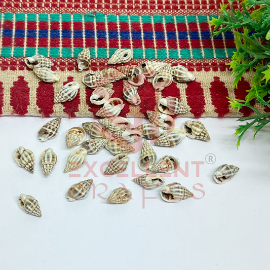 7x12mm Natural Dusty Conch Shells with Hole (100pcs)