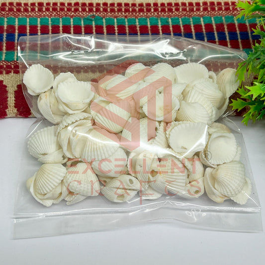 14x15mm Natural White Sea Shells with Hole (100pcs)
