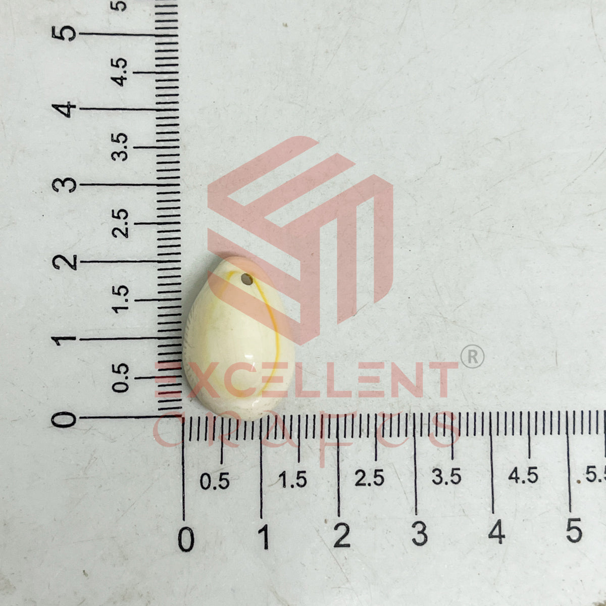 12x20mm One Hole Natural White Cowrie Shells (100pcs)
