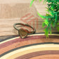 6mm Heart Cabochon Finger Ring- 1 Pc
