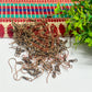 Fish Hooks  for Earrings - 100Pcs