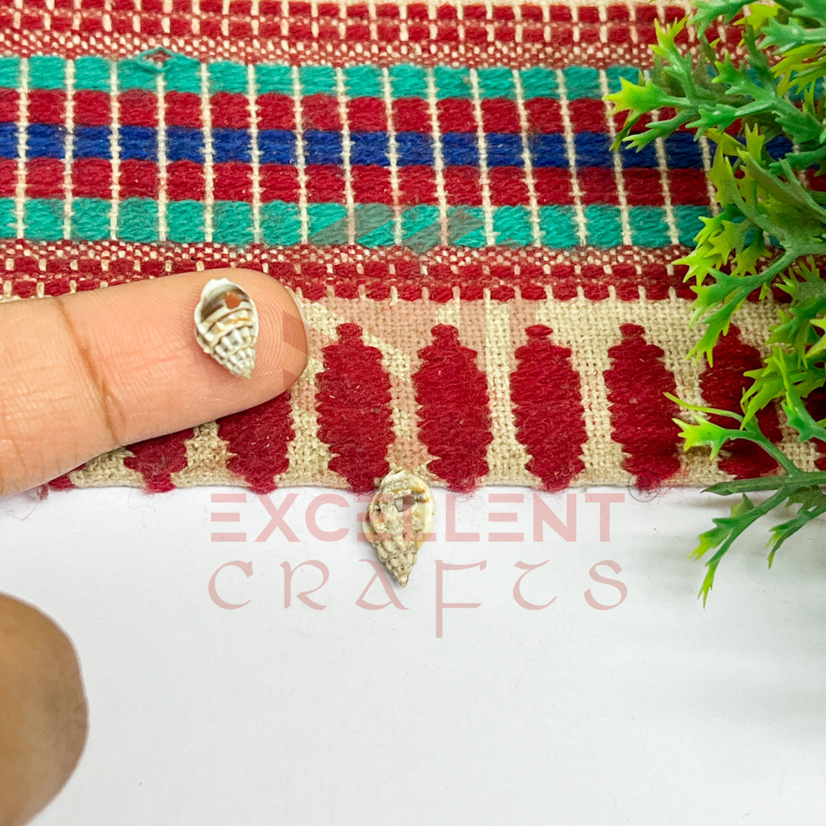 7x12mm Natural Dusty Conch Shells with Hole (100pcs)