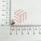 7x12mm Natural Dusty Conch Shells with Hole (100pcs)