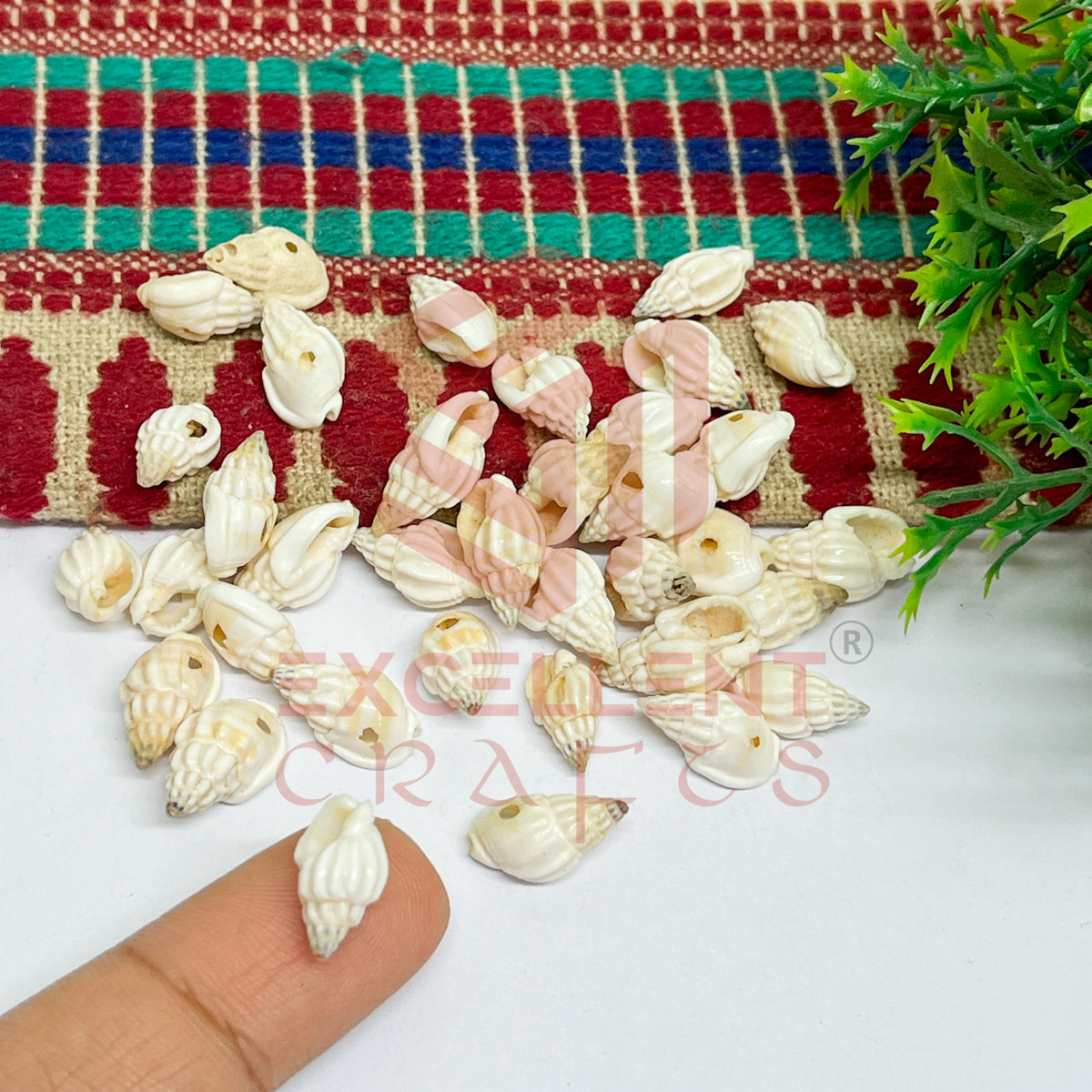 7x12mm Natural White Conch Shells with Hole (100pcs)