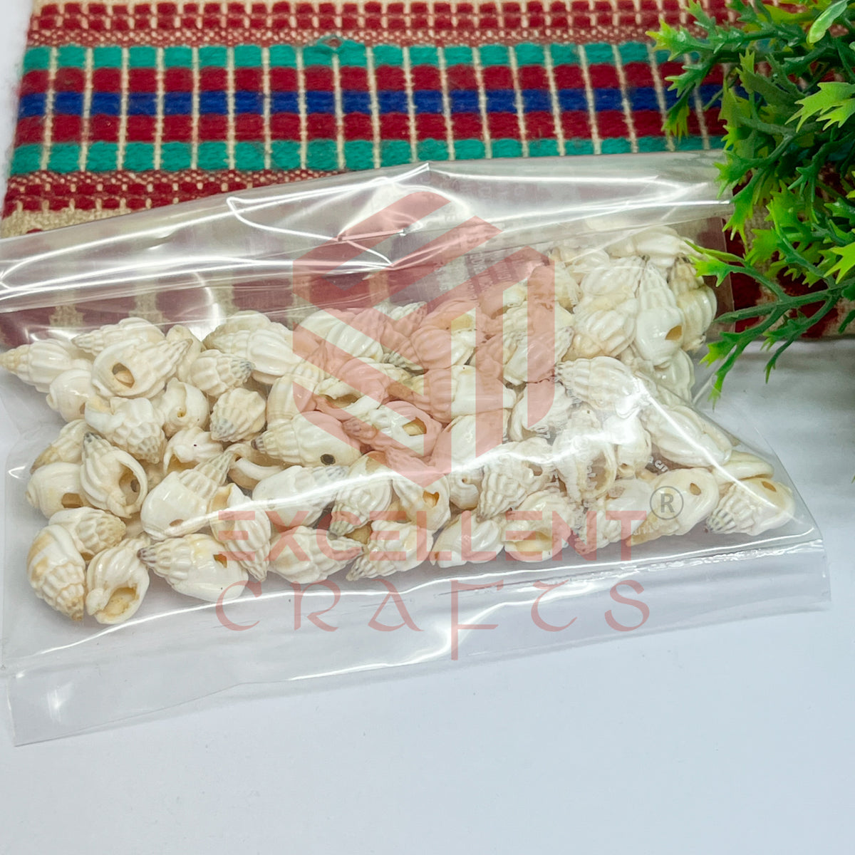 7x12mm Natural White Conch Shells with Hole (100pcs)