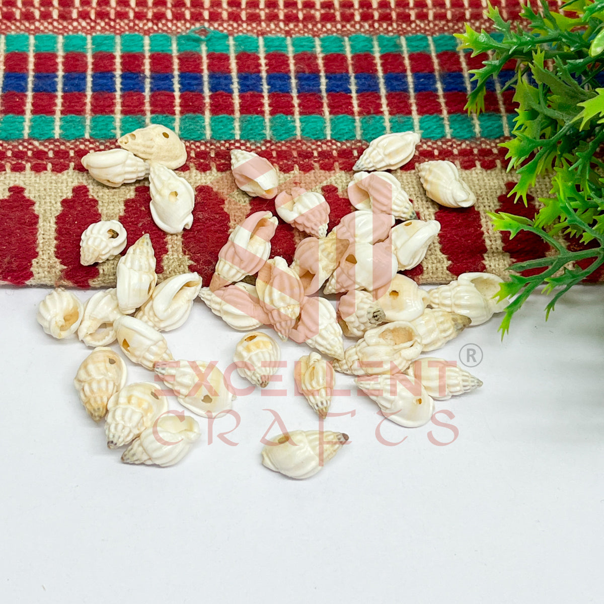 7x12mm Natural White Conch Shells with Hole (100pcs)