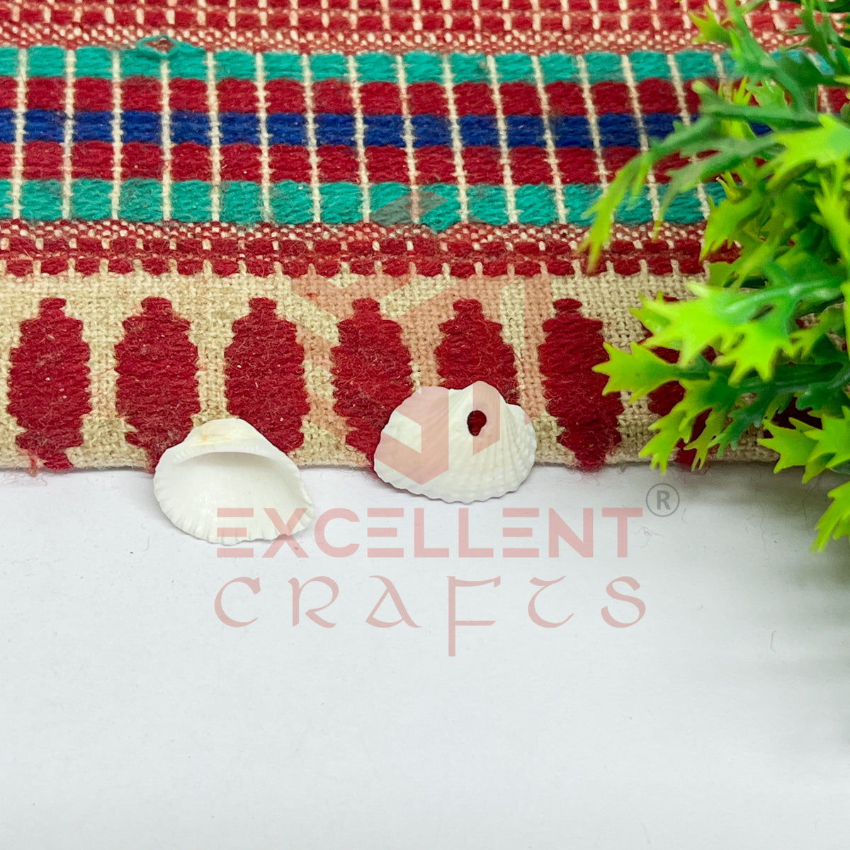 14x15mm Natural White Sea Shells with Hole (100pcs)
