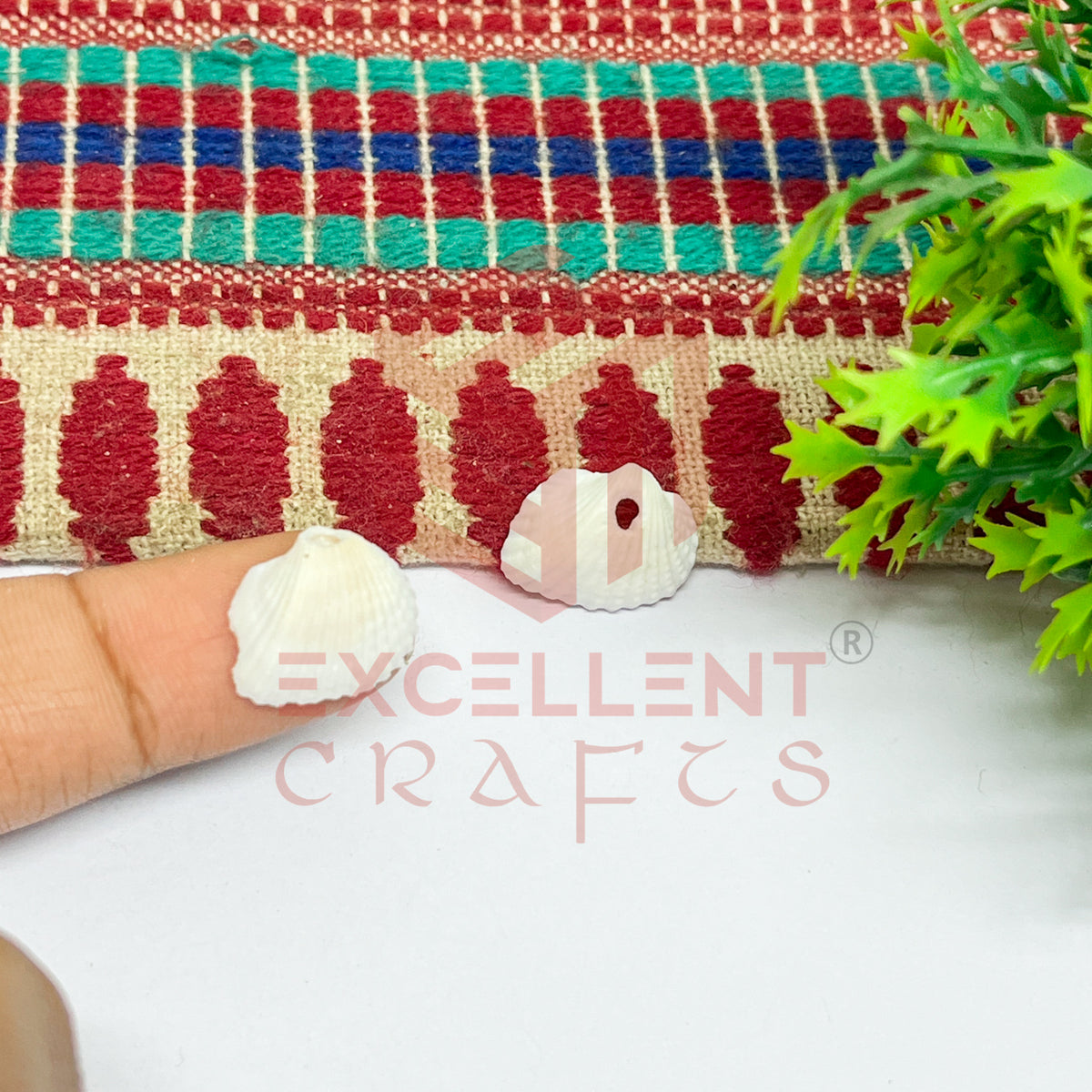 14x15mm Natural White Sea Shells with Hole (100pcs)