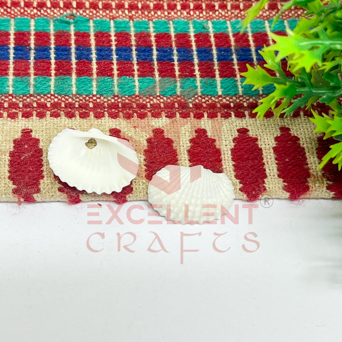 15x20mm Natural White Sea Shells with Hole (100pcs)