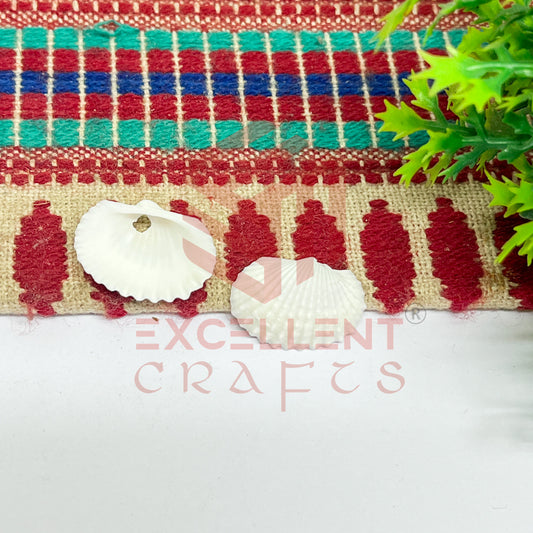 15x20mm Natural White Sea Shells with Hole (100pcs)