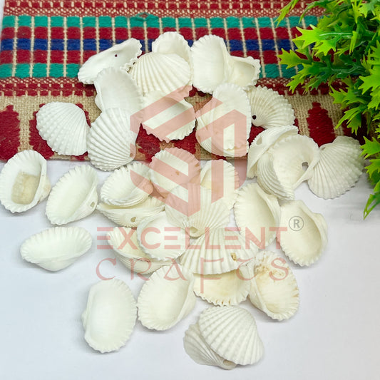 15x20mm Natural White Sea Shells with Hole (100pcs)