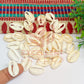 Half Cut White Natural Cowrie Shells (100pcs)