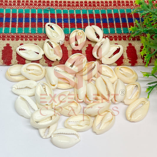 Half Cut White Natural Cowrie Shells (100pcs)