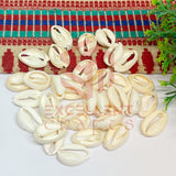 Half Cut White Natural Cowrie Shells (100pcs)
