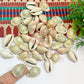 12x20mm One Hole Natural Dusty Cowrie Shells (100pcs)