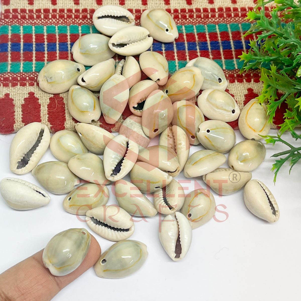 12x20mm One Hole Natural Dusty Cowrie Shells (100pcs)