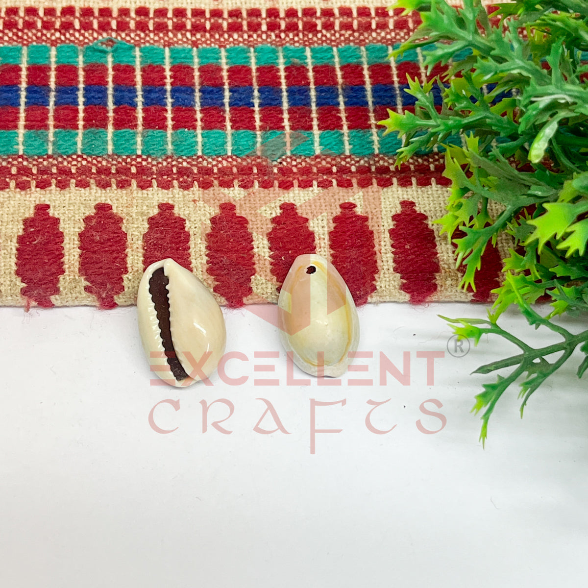12x20mm One Hole Natural Dusty Cowrie Shells (100pcs)