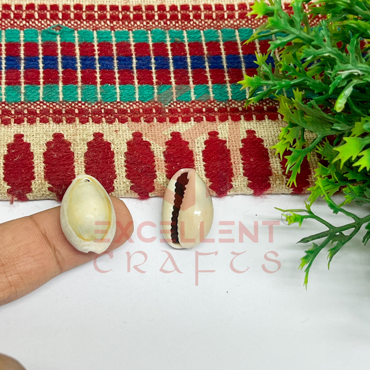 12x20mm One Hole Natural Dusty Cowrie Shells (100pcs)