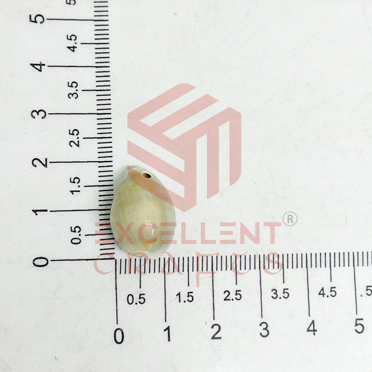 12x20mm One Hole Natural Dusty Cowrie Shells (100pcs)