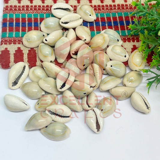 12x20mm One Hole Natural Dusty Cowrie Shells (100pcs)