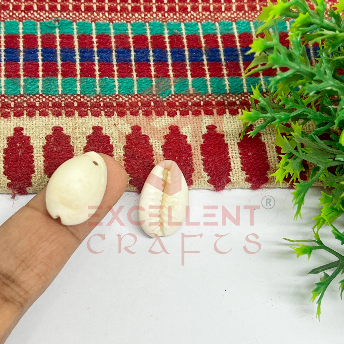 12x20mm One Hole Natural White Cowrie Shells (100pcs)
