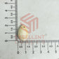 12x20mm One Hole Natural White Cowrie Shells (100pcs)