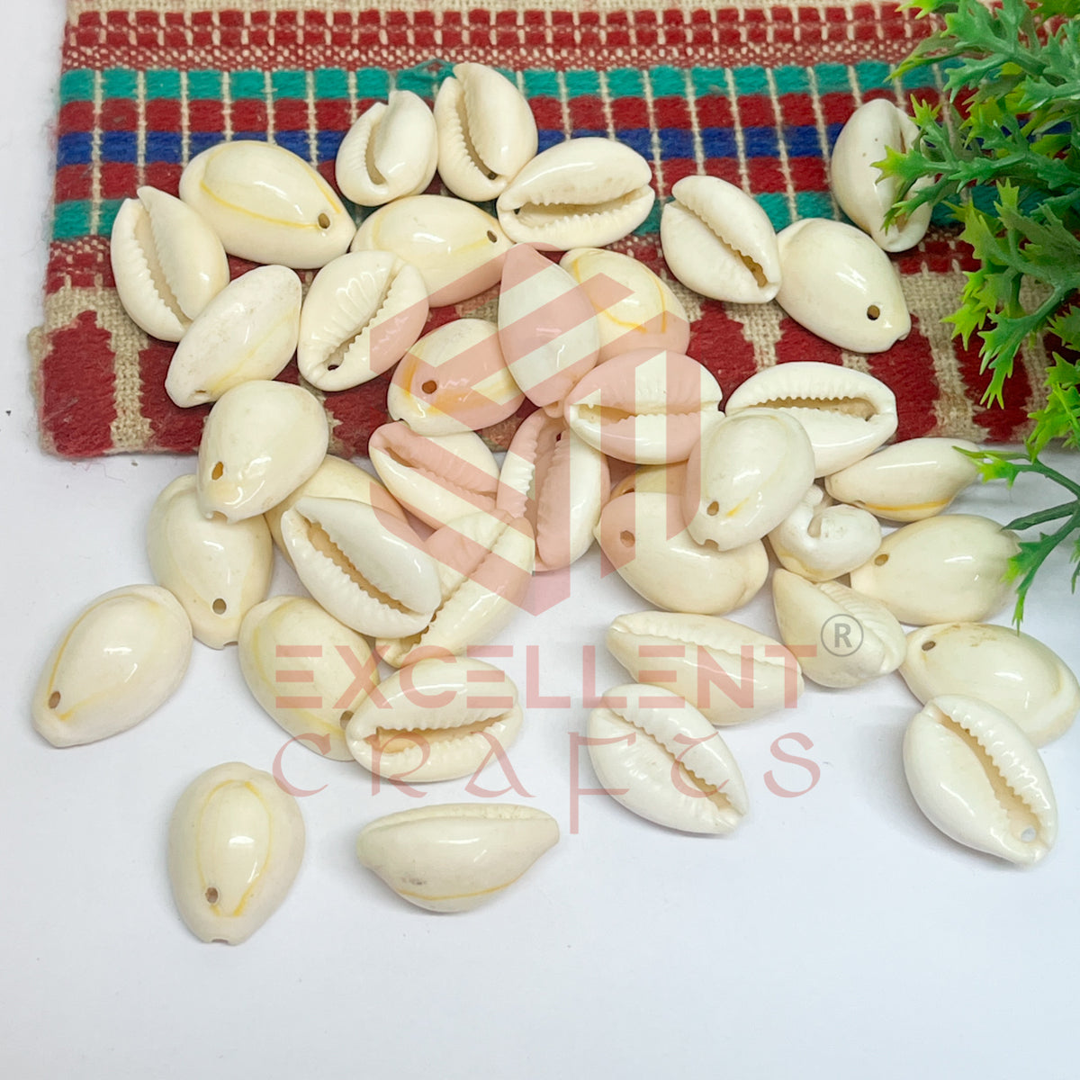 12x20mm One Hole Natural White Cowrie Shells (100pcs)