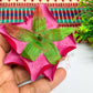 Artificial Flowers- HC-AF-11- Pack of 1Pc