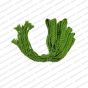 ECMCD10-Leaf-Green-Color-15-Inch-Double-Braided-Cotton-Dori V1