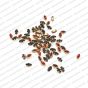 ECMKSTONE47-3mmx6mm-Eye-Shape-Red-Color-Flatback-Crystal-Kundan-Stone