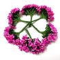 Dark Pink Color Artificial Pollens | Vibrant & Realistic Floral Decor supplies