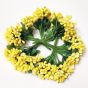 Lime Yellow Color Artificial Pollens for Flower Jewellery | High-Quality Flower Jewellery Material