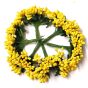 Dark Yellow Color Artificial Pollens for Flower Jewellery | Flower Craft Supplies