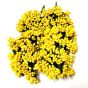Dark Yellow Color Artificial Pollens for Flower Jewellery | Flower Decoration material